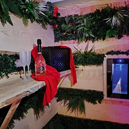 Paradise And Apartament Haguenau