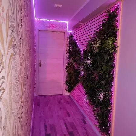 Paradise And Apartment *