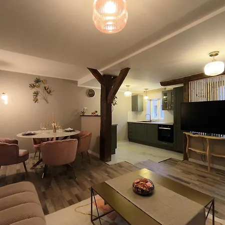 Paradise And Apartman Haguenau