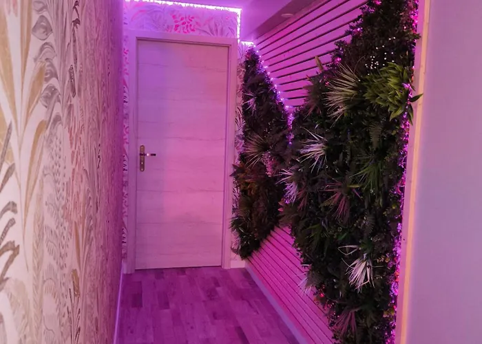 Paradise And Apartment